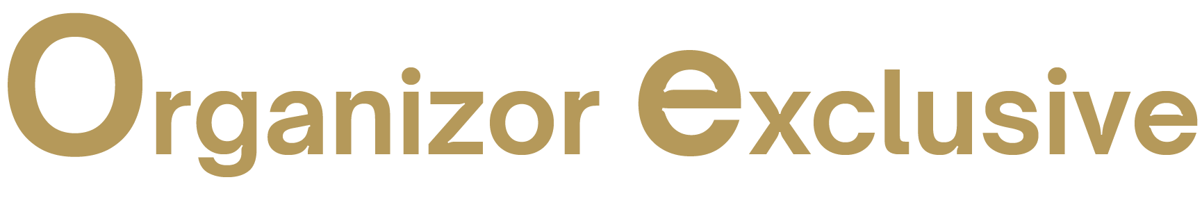 ORGANIZOR EXCLUSIVE